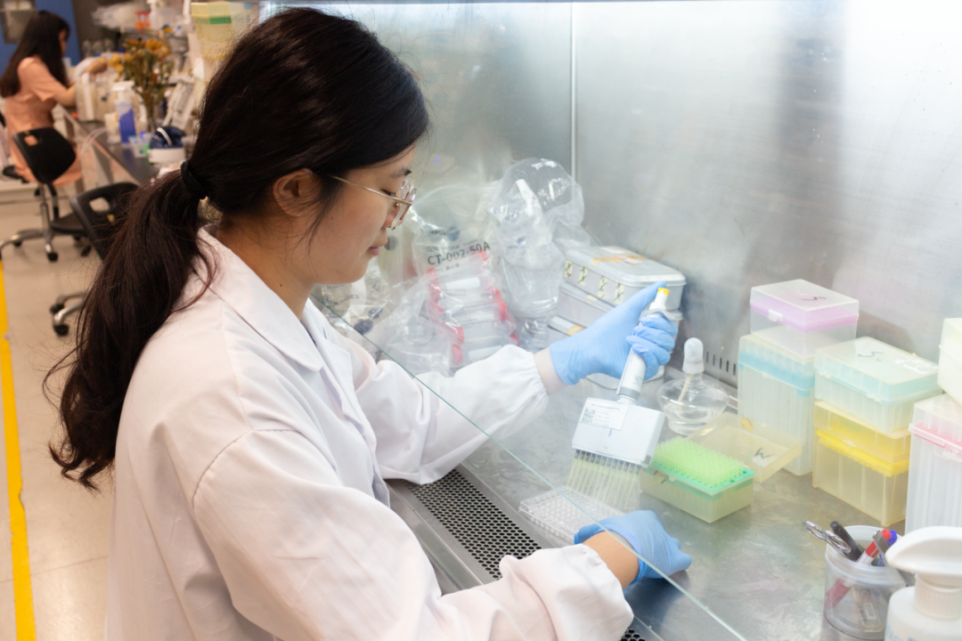 屏幕截圖 2024-10-21 141952.png